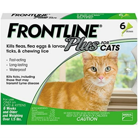 Frontline Plus Flea and Tick Treatment For Cats And Kittens, 6 Monthly Doses