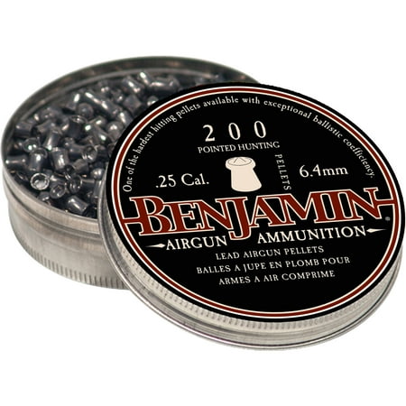 Benjamin Discovery Destroyer 25cal Pelle