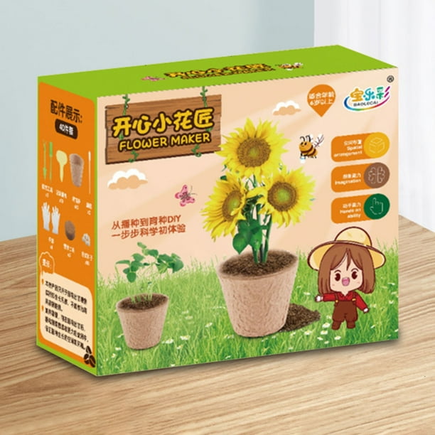 Herramientas de jardín para cuarto de cultivo interactivas con sistema de riego y luz para niños y niñas