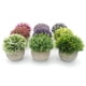 thumbnail image 4 of Mini plantas artificiales decorativas de plástico en maceta para decoración del hogar y el jardín., 4 of 7
