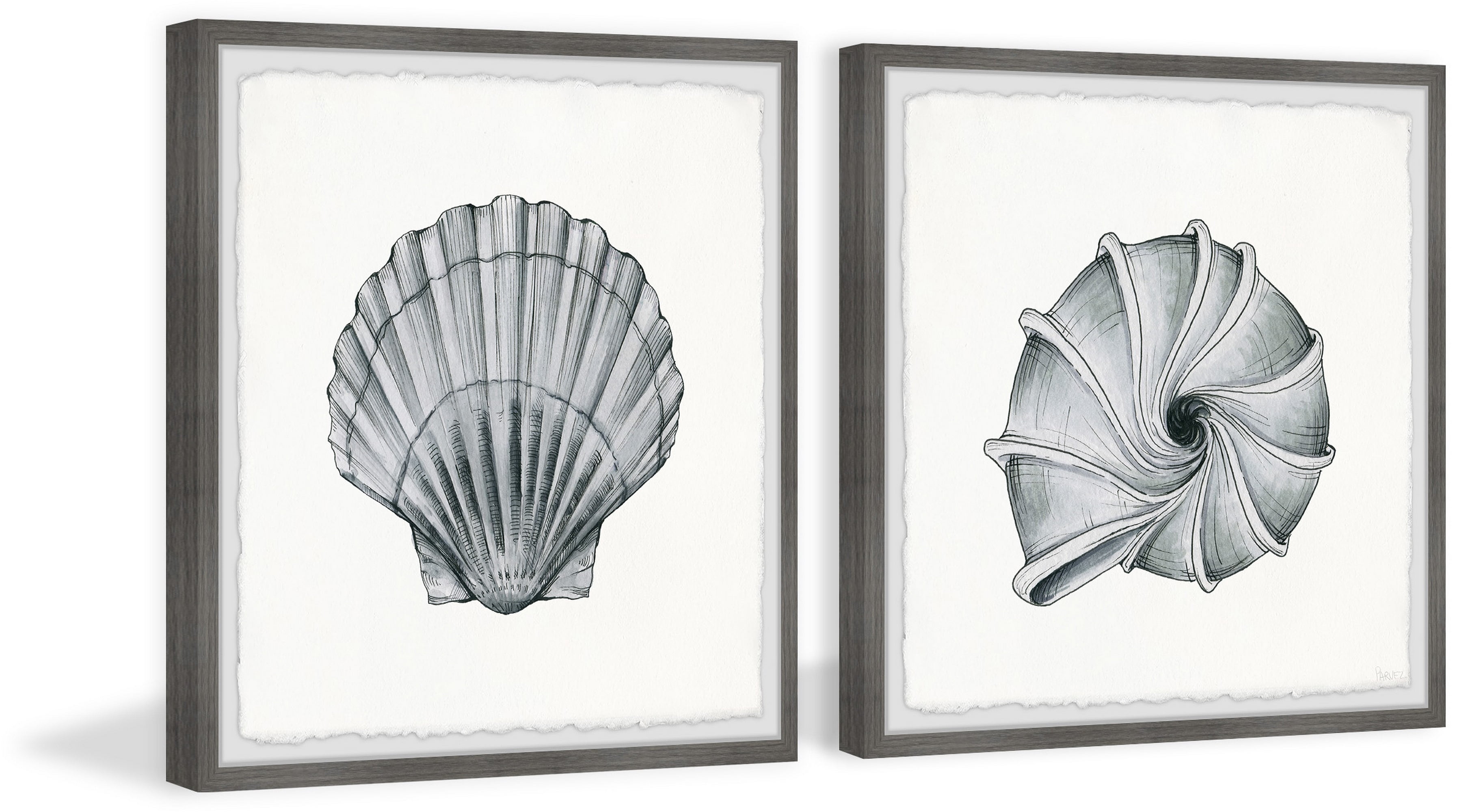 Parvez Taj Metallic Shells Diptych