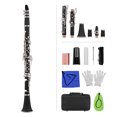 thumbnail image 1 of Clarinete de 17 llaves en ABS, tono Si bemol, con llaves de níquel chapado, incluye estuche acolchado, 10 lengüetas, estuche para lengüetas, guantes, paños de limpieza y destornillador mini, color, 1 of 7