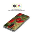 thumbnail image 2 of Head Case Designs Officially Licensed Celebrate Life Gallery Florals Waiting For The Morning Soft Gel Case Compatible with Google Pixel 7a, 2 of 7
