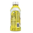 BODYARMOR LYTE Sports Drink Tropical Coconut, 16 fl oz