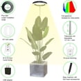 thumbnail image 2 of Plant Grow Light LED Growing Light Full Spectrum for Indoor Plants Height Adjustable Automatic Timer V Low Voltage Idea for Large Plant Light, 2 of 6