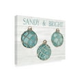 thumbnail image 4 of Trademark Fine Art 'Coastal Holiday Ornament VIII Sandy and Bright' Canvas Art by Kathleen Parr McKenna, 4 of 4