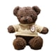 thumbnail image 2 of Lindo oso de peluche de peluche, decoración de sala de estar de 30 cm, regalos del día de Valentín para niños, adolescentes, niñas, niños y , Café, 2 of 8