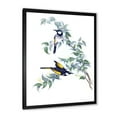 thumbnail image 2 of Designart 'Ancient Australian Birds On A Branch' Traditional Framed Art Print, 2 of 4