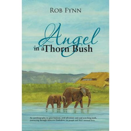 Angel in a Thorn Bush - eBook