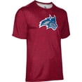thumbnail image 4 of ProSphere Boys' Stony Brook University Heather Tech Tee, 4 of 7