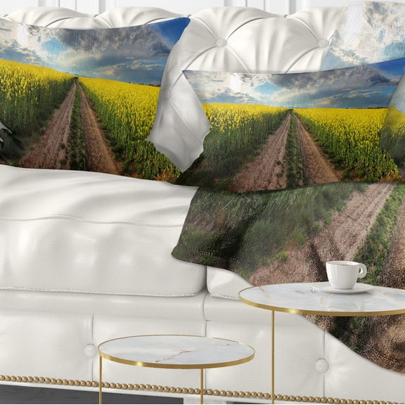 Designart Sunset over Canola Panorama - Landscape Printed Throw Pillow - 12x20