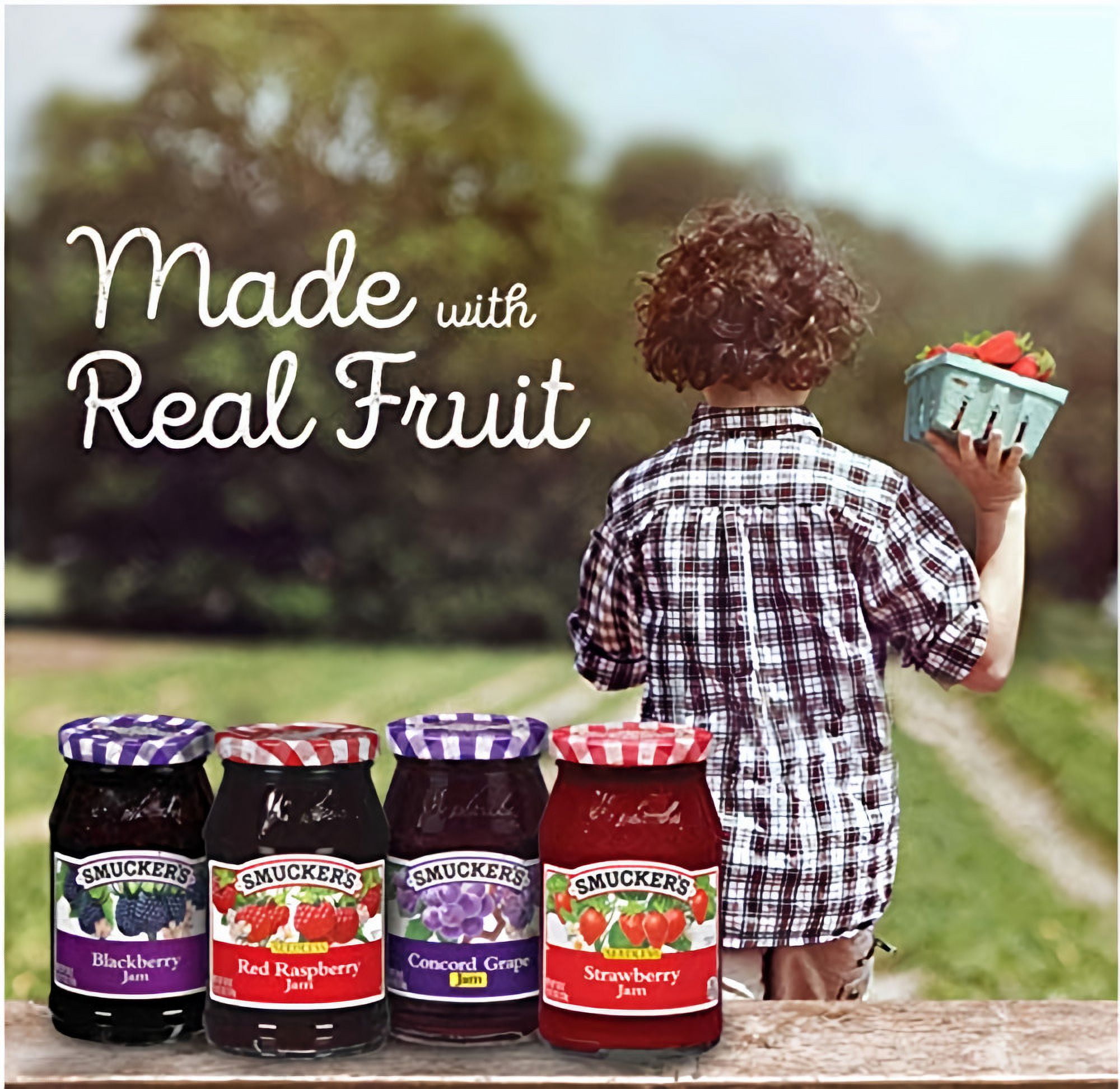 Smucker's Red Raspberry Jam 18 oz. (Pack of 10)