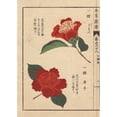 thumbnail image 2 of Crimson Camellias, Bokuhan And Karako, Theaa Poster Print By ® Florilegius Mary Evans (24 X 36), 2 of 4