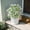 White, variant on Artificial Flowers for Outdoors UV Resistant Fake Plants Silk Flowers Faux Violet Flower Eucalyptus Leaf for Hanging Basket Indoor Outside Home Garden Planter Porch Patio Yard Decor(Upgraded)