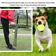 thumbnail image 1 of Juguete para perros lanzador de pelotas de tenis al aire libre seguridad para practicar entrenamiento jugar juguete interactivo ANGGREK Otros, 1 of 8