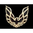 thumbnail image 3 of Pontiac 1976-81 Firebird / Trans Am Flat Wall Emblem / Metal Art Sign (Black), 3 of 6