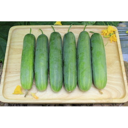 200 Seeds MARKETMORE 76 SLICING CUCUMBER Fruit Cucumis Sativus Seeds