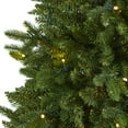 thumbnail image 6 of Nearly Natural Clear Prelit LED Green Holiday Pine New Hampshire Fir Artificial Christmas Tree, 5', 6 of 9