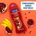 Softsoap Moisturizing Body Wash Pump, Pomegranate and Mango, 32 Ounce