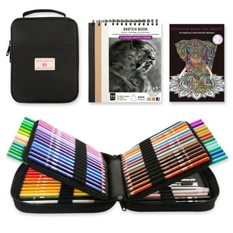 Castle Art Supplies 48 Piece Metallic Colored Pencil Set for