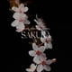 thumbnail image 3 of Difusor de aromas Antica Farmacista Sakura 250 ml Reed, 3 of 8