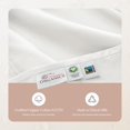thumbnail image 2 of Organic Cotton Sateen 300 Thread Count Pillowcases, 2 of 3