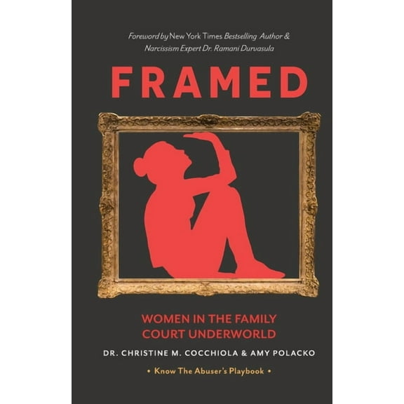 Framed: Women in the Family Court Underworld, (Paperback)