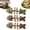One of each type in three packages, variant on 2026 New Creative Fish Bone Cat Dental Chew Toy -Natural Catnip & Silvervine Teeth Cleaning Stick, Fix Cat Dental Health, Wooden Feline Tooth Care Tool(1PC Catnip & Silver Vine & Bug Gall Fruit)