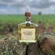 thumbnail image 3 of Pack de 2 Tequila Don Felix Añejo 750 ml Don Felix, 3 of 3