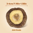 thumbnail image 2 of ONETANG Natural Dried Shiitake Mushrooms - Premium Flavors |AAA Grade Extra Dry Mushrooms for Soups, Sauces, Pasta and Risotto, Rehydrate Quickly, All Natural & Vegan | 16 Oz, 2 of 6