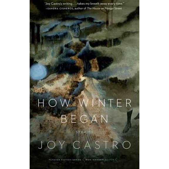 Pre-Owned Flyover Fiction: How Winter Began : Stories (Paperback)