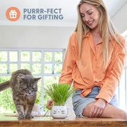The Cat Ladies Organic Cat Grass Kit 1 Count, Indoor Cat Grass with Soil and Seeds for Easy Planting