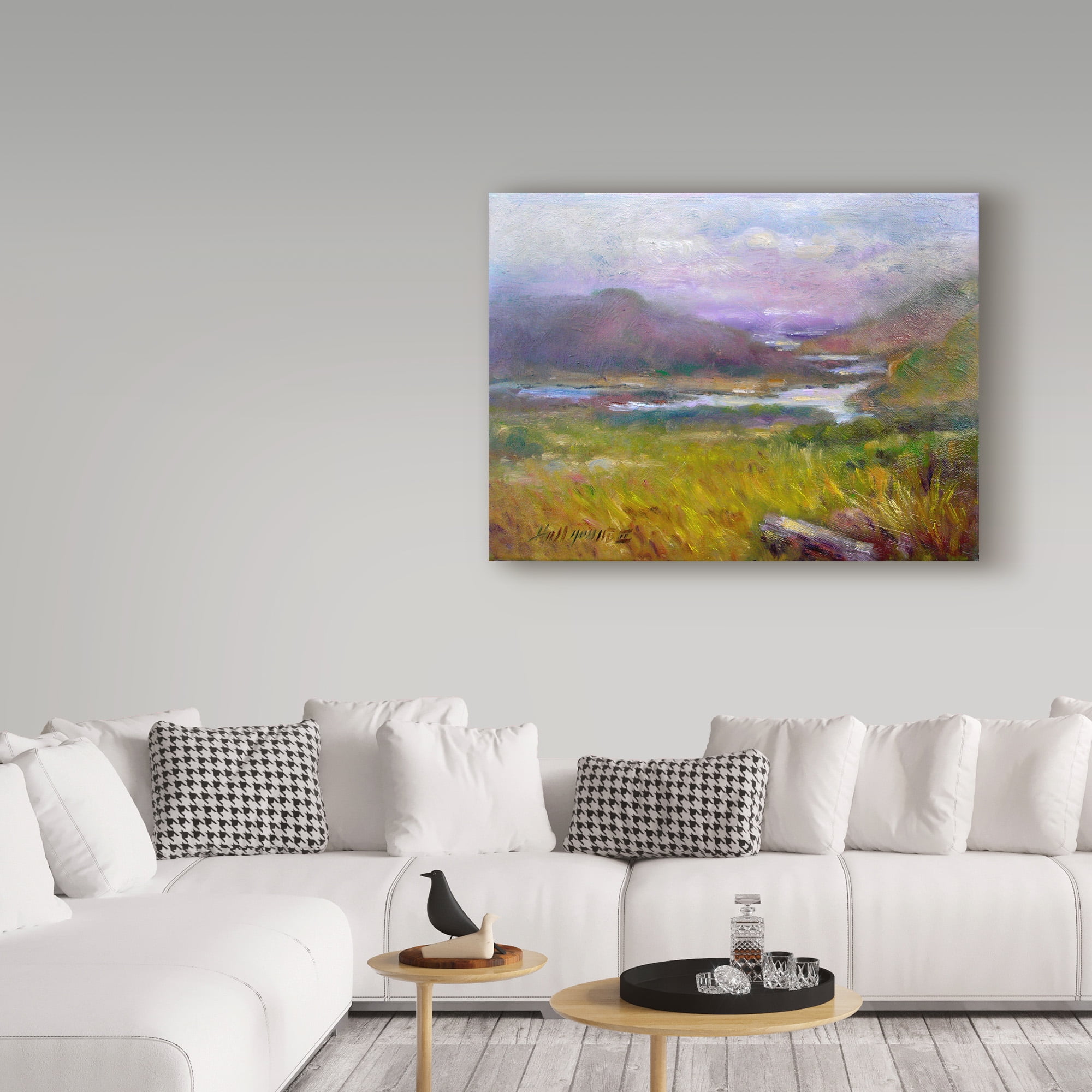 Trademark Fine Art 'Ring Of Kerry, Ireland 14' Canvas Art by Hall Groat Ii