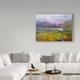 thumbnail image 3 of Trademark Fine Art 'Ring Of Kerry, Ireland 14' Canvas Art by Hall Groat Ii, 3 of 3