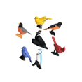 thumbnail image 1 of Simulation Birds Model Toy Plastic Animal Model Toy Animal Animal Miniture Figurine Decorations Kids Animal M4134, 1 of 6