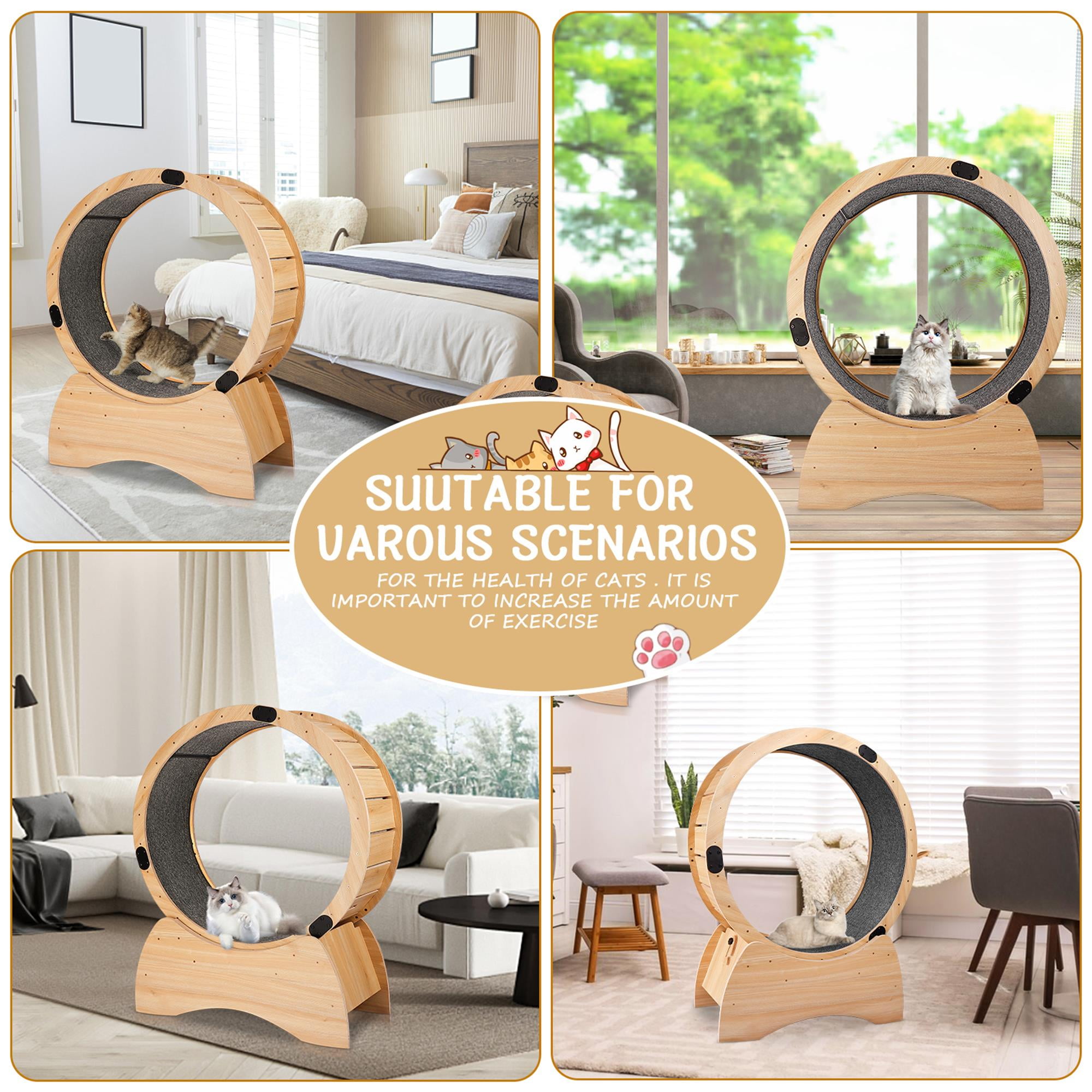 Kadyn 35" Cat Exercise Wheel, Cat Treadmill, Cat Wheel with Carpeted Runway, Running Wheel for Indoor Cats, Kitty's Weight Loss and Health, Beige