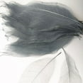 thumbnail image 3 of jifeng 100 Pcs Feuilles de Squelette de Magnolia Naturelles Décorations de Scrapbooking Gris Blanc, 3 of 9