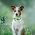 thumbnail image 4 of Tvtnvo Pet Bow Tie St. Patrick's Day Four Leaf Clover Luck Collar Accessory for Dogs and Cats Festive Holiday Party Outfit Nylon Spandex Charming Pet Costume Green 3.1x1.6in, 4 of 5