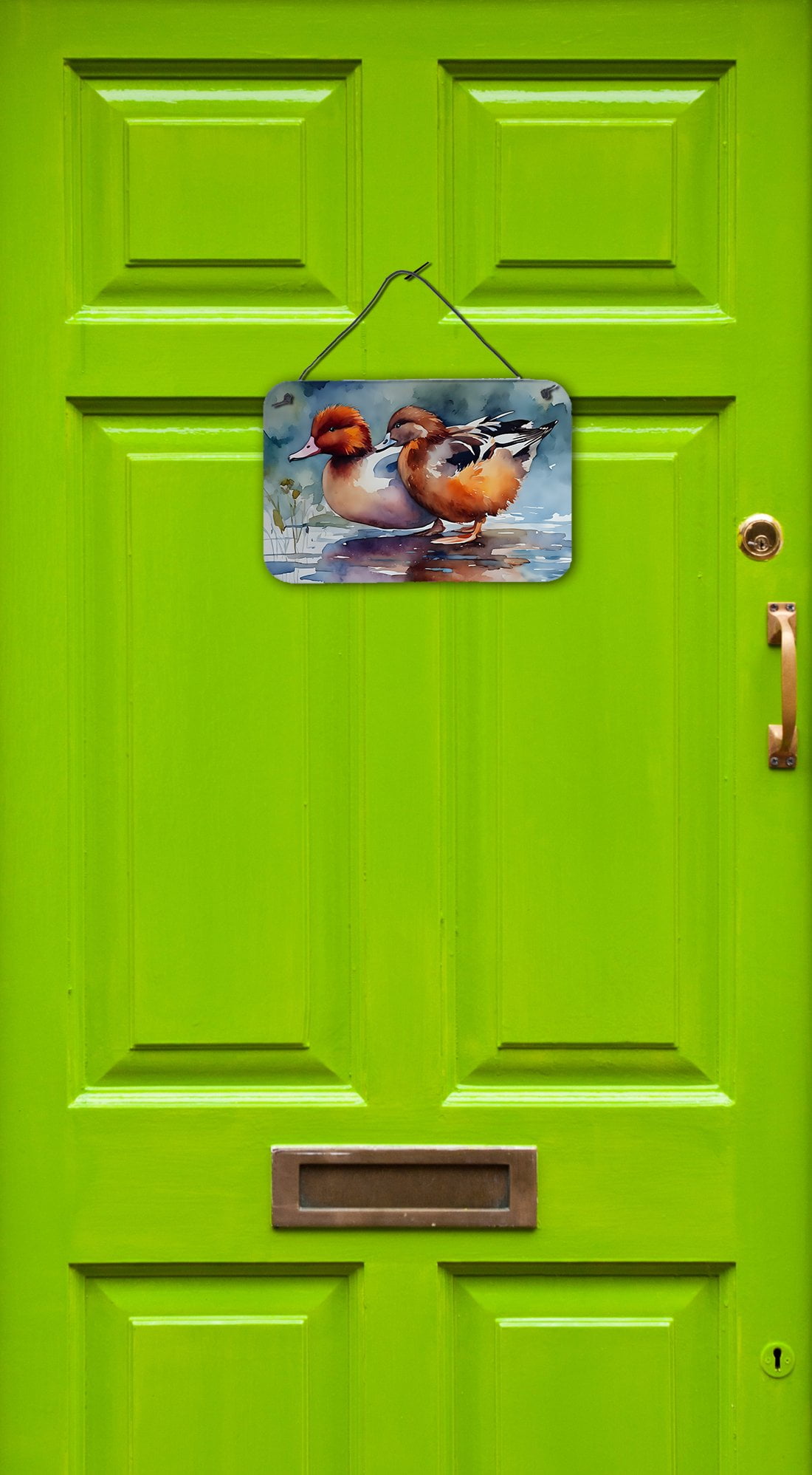 Redhead Duck Wall or Door Hanging Prints 8 in x 12 in