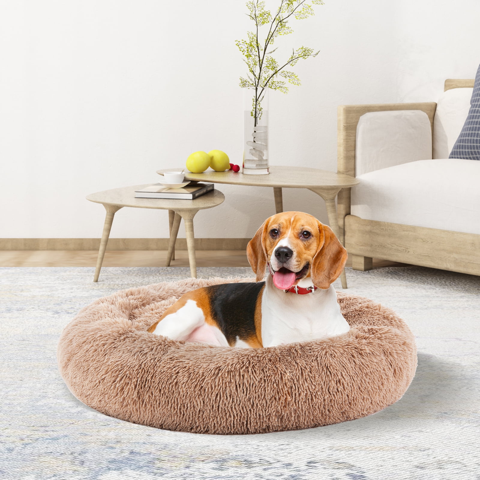GIANNA Medium Dog Memory Foam Sofa – Supportive Brown Bed for Pets, Machine Washable