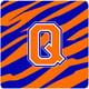 Monogram - Rayure Tigre - Bleu Orange Mousse Sous-Verres&44; Lettre Initiale Q - Ensemble 4&44; 3.5 x 3.5 Po. – image 1 sur 1
