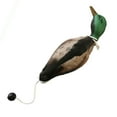 thumbnail image 1 of Canard Colvert de Simulation, Leurre de Chasse Extérieur, Épouvantail, Cour, Piscine, Pelouse, 1 of 8