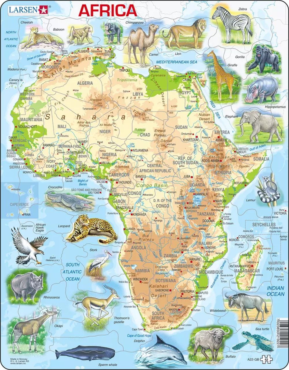 World Map Extra Large Pieces Maps, Animals 40 pcs jigsaw puzzle 