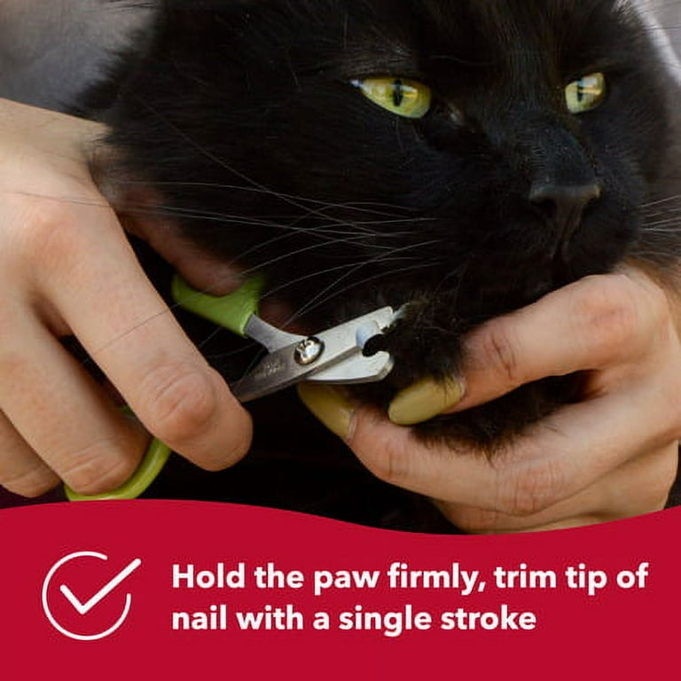 Left handed dog nail clippers sales