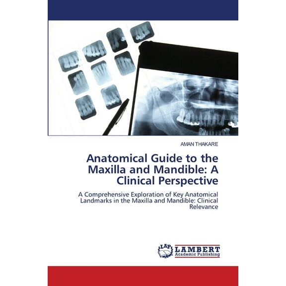Anatomical Guide to the Maxilla and Mandible: A Clinical Perspective, (Paperback)