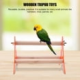 thumbnail image 4 of Wooden Bird Toy, Bird Toy, Table Toy Portable Birds For Parrots, 4 of 8
