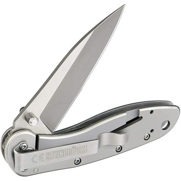 Folding Pocket Knife with Clip - Pocket Knives for Men, 3.1