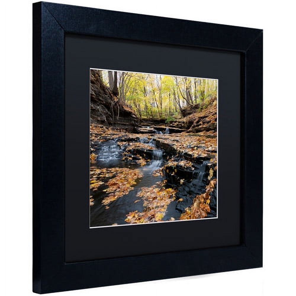 Trademark Fine Art "Lakeview Autumn Falls" Canvas Art by Kurt Shaffer Black Matte, Black Frame