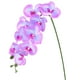 thumbnail image 1 of Uxcell 1-Pack Flores de Orquídea Artificial 9 Pétalos Grandes 37 Pulgadas Ramo de Phalaenopsis de Seda Azul Púrpura Falsas Orquídeas para el Hogar/Boda, 1 of 1