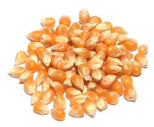 Popcorn Yellow Kernels 10 lbs (Ten Pounds) USDA Certified Organic, Bulk by Mulberry Lane Farms
